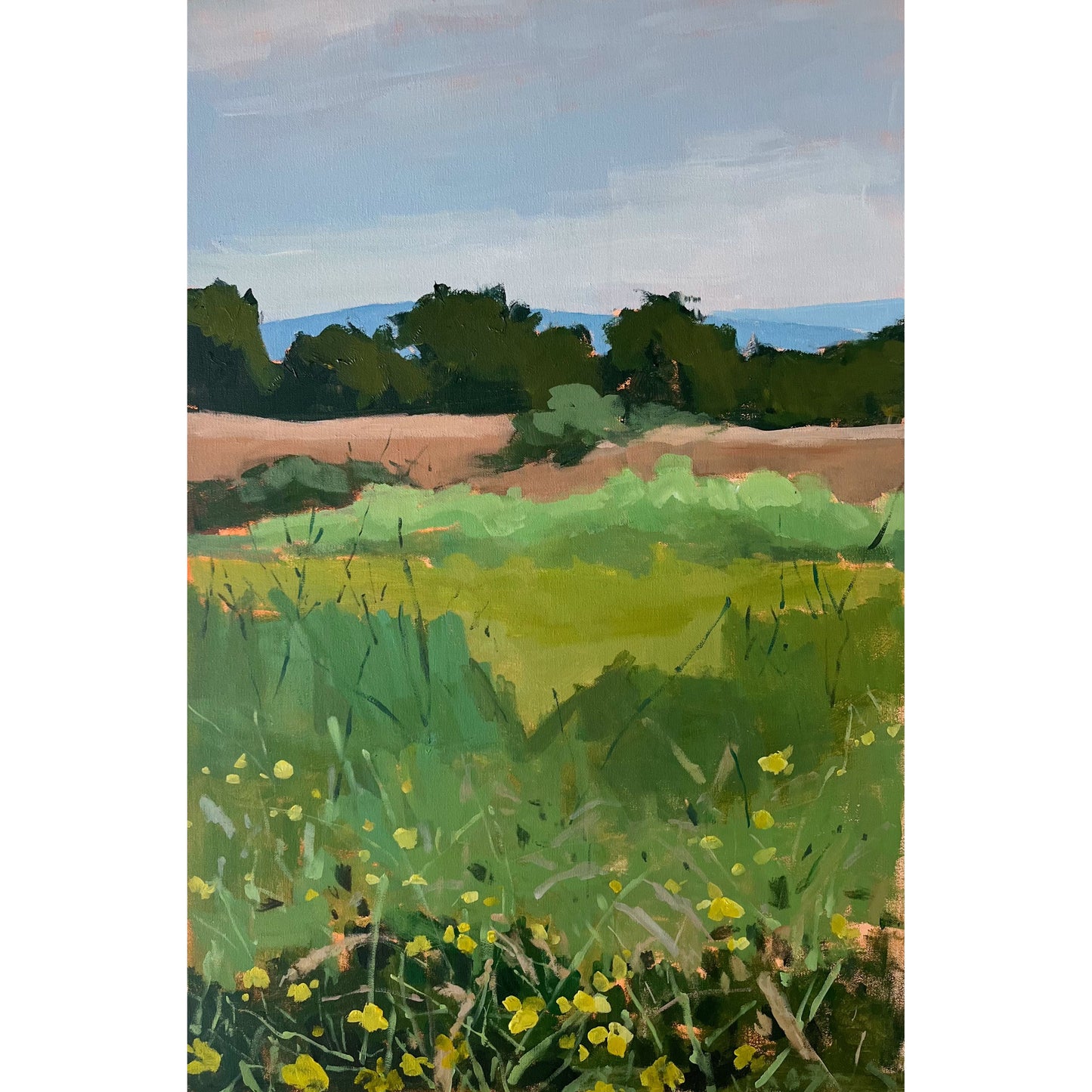 Mountains and Wildflowers, original landscape painting by Maggie Stickney