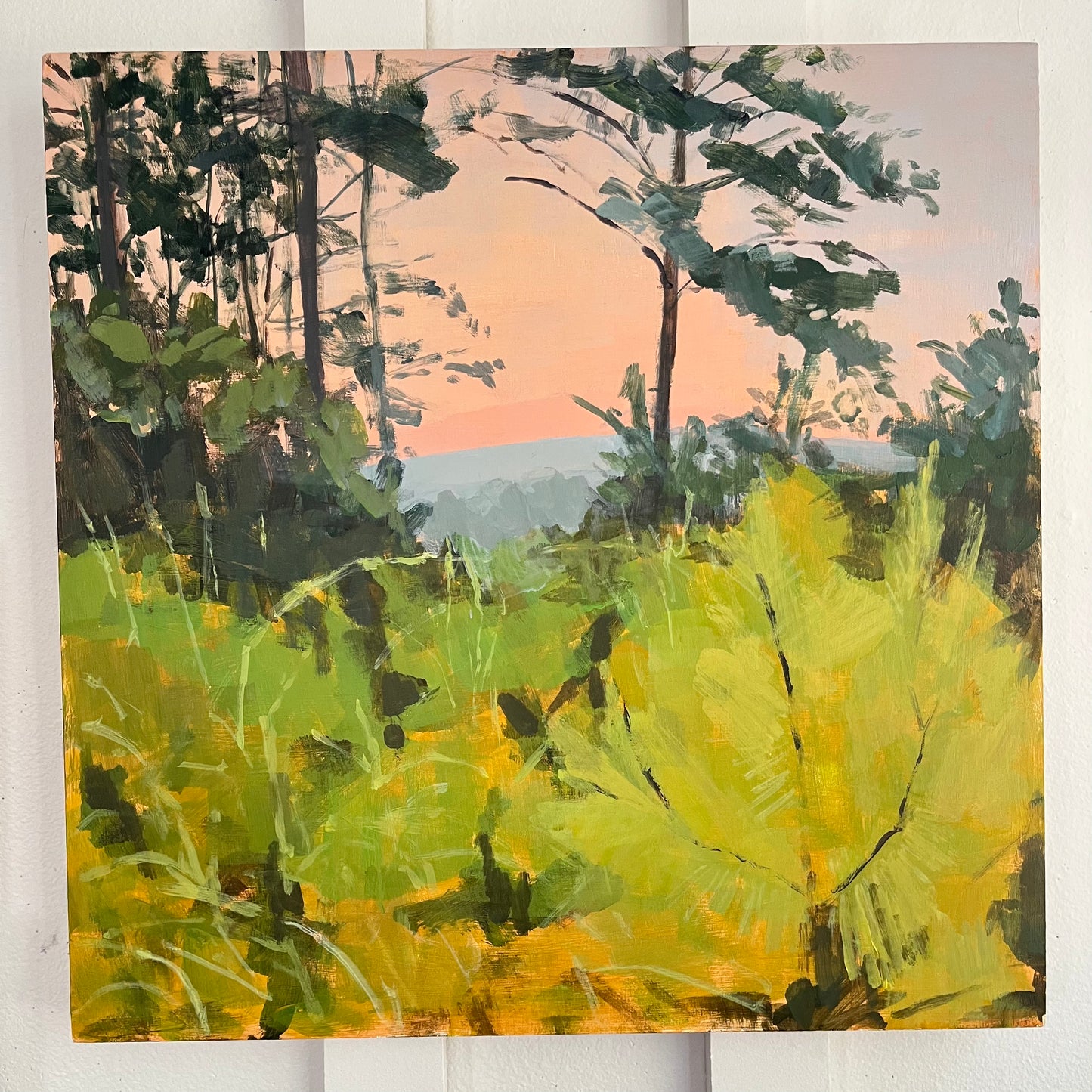Swim Meet Sunset — tall pine trees and sunlit yellow-green grasses beneath a peach evening sky. Painting by Maggie Stickney.