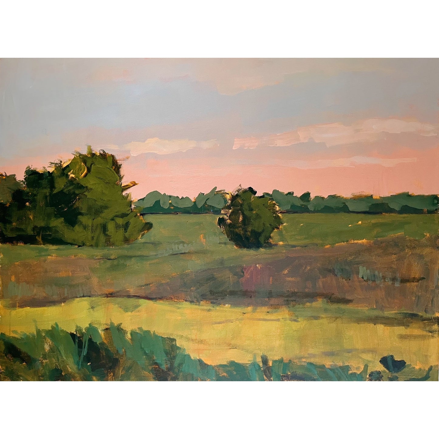 Sunrise Field, original landscape painting by Maggie Stickney