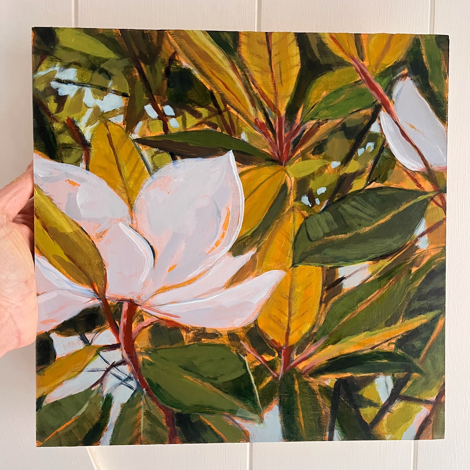 Magnolias