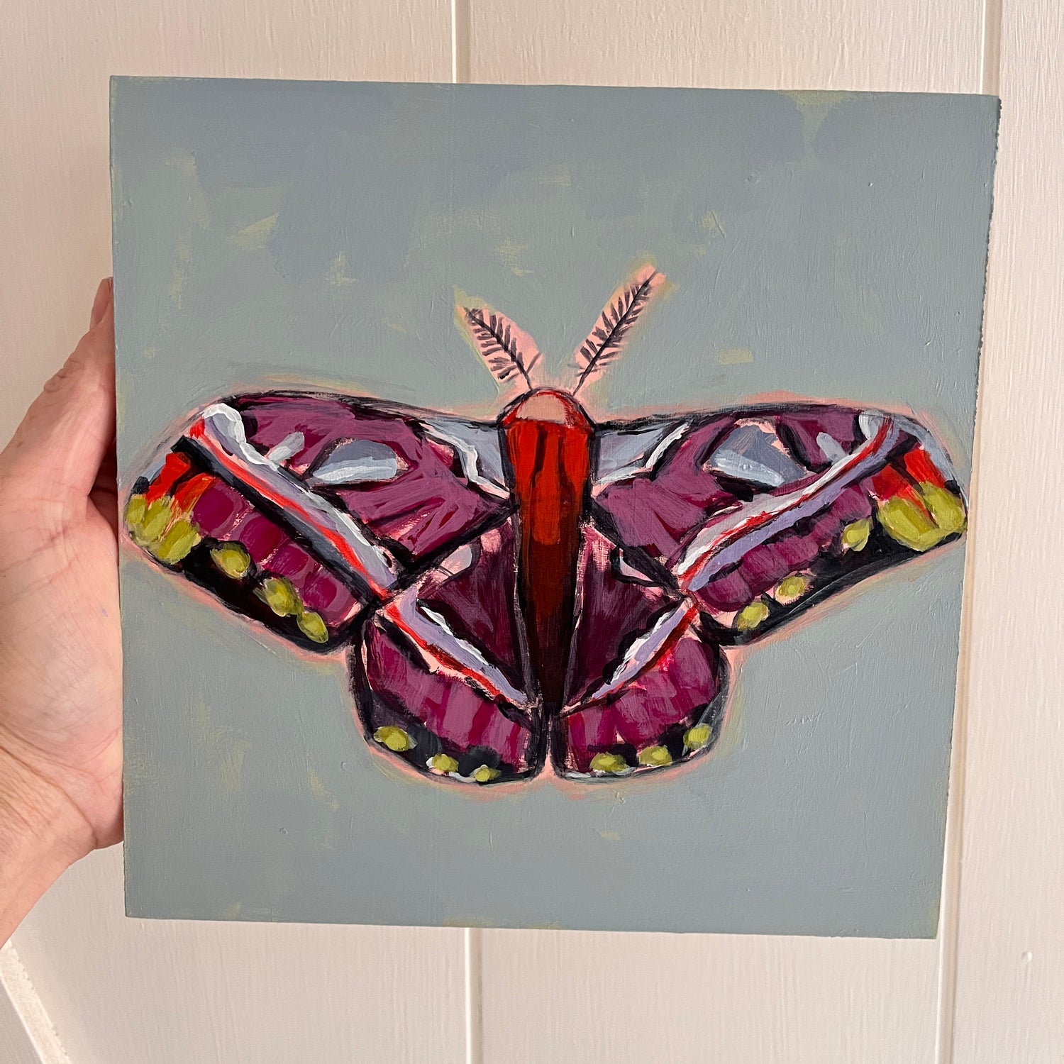 Moths