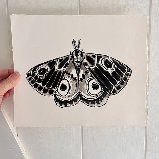 Polyphemus Moth, original animal painting by Maggie Stickney