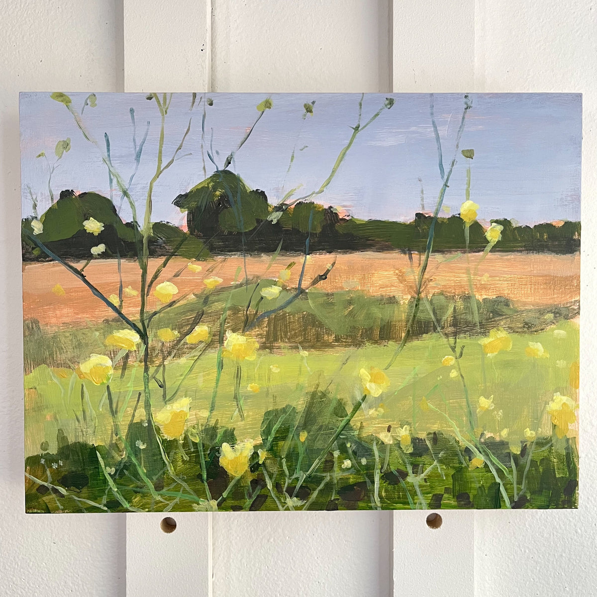 Wildflowers no 7