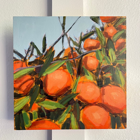 Satsuma Tree no 4 — bright orange satsumas among green leaves and crossing branches. Painting by Maggie Stickney.