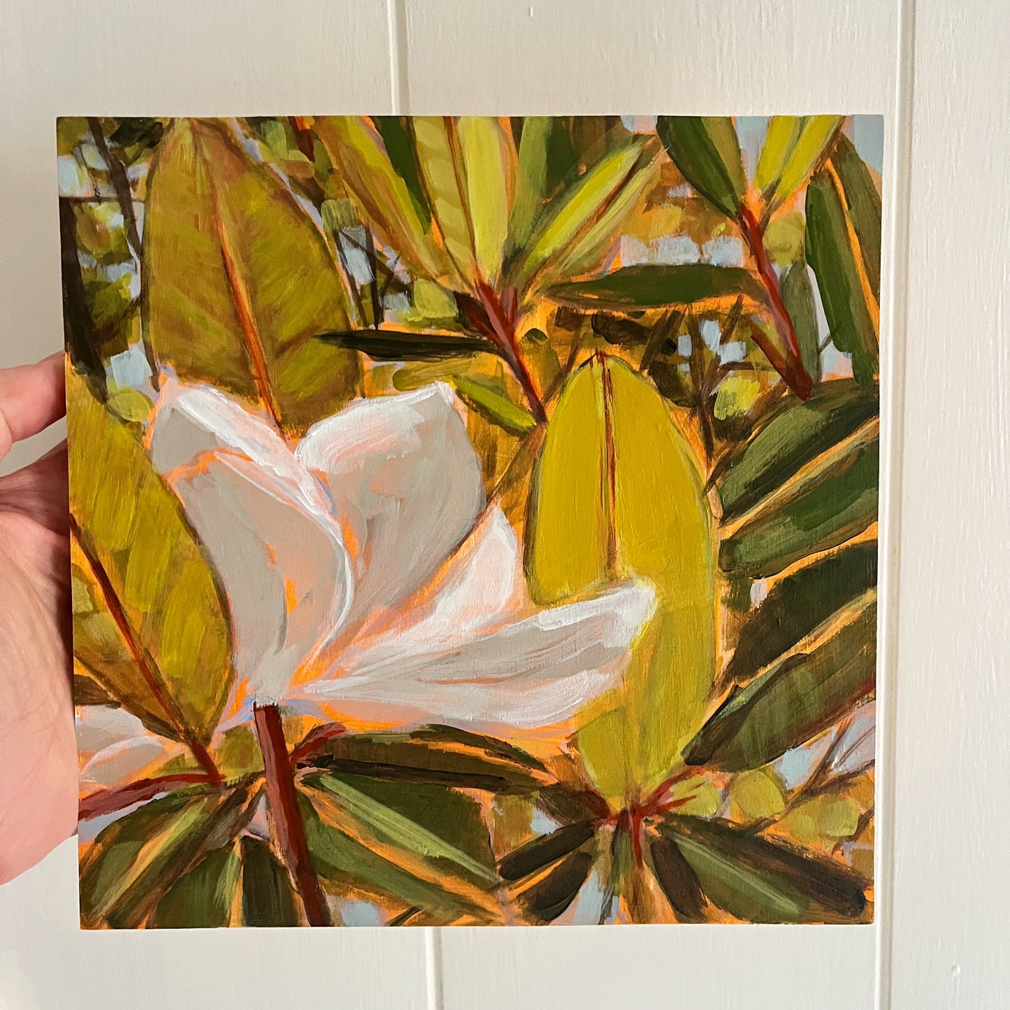 Magnolia Light Study no 14, original still life painting by Maggie Stickney