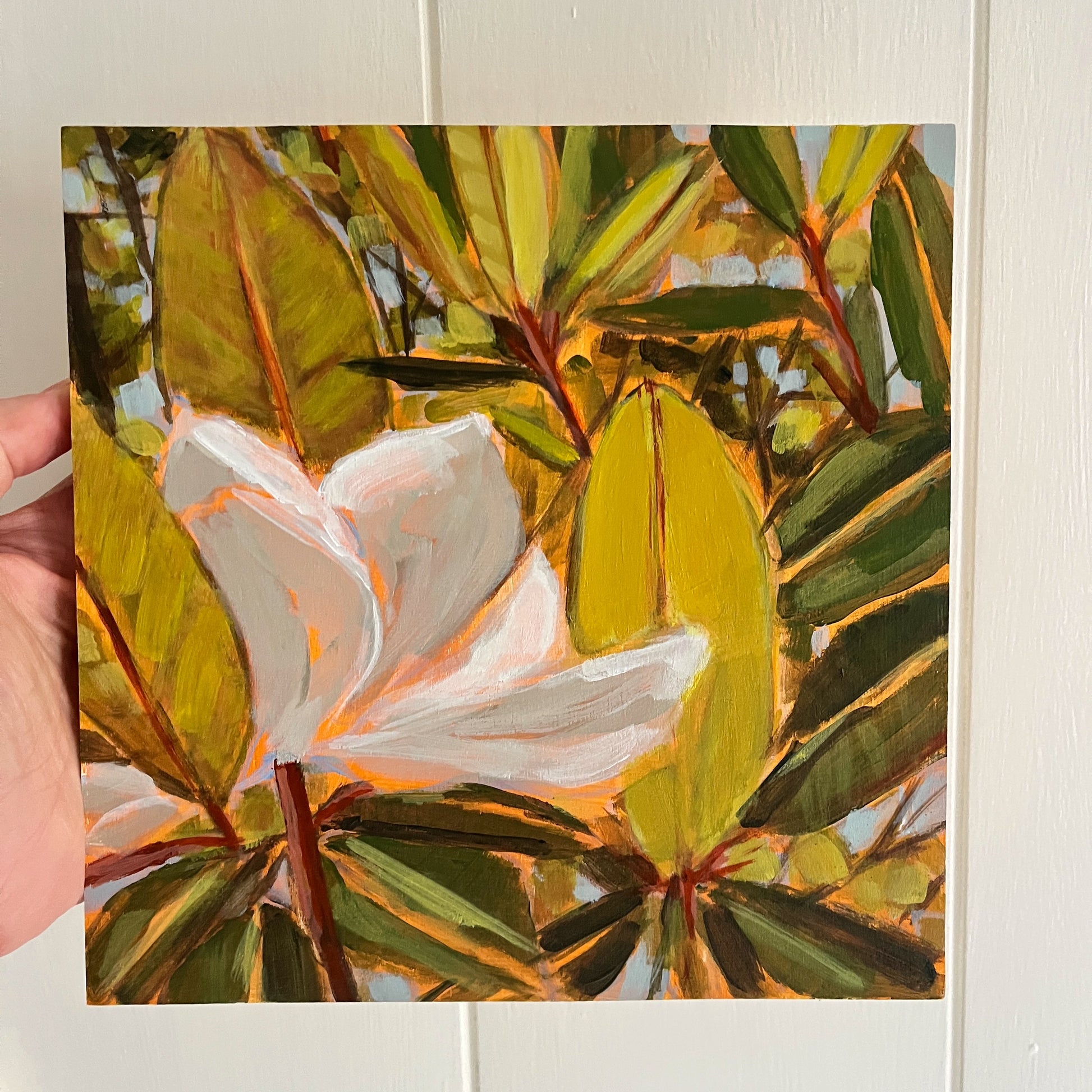 Magnolia Light Study no 14, original still life painting by Maggie Stickney