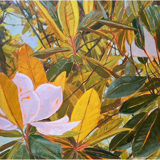 Grande Magnolia Light Study no 1, original still life painting by Maggie Stickney
