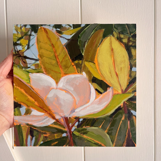 Magnolia Light Study no 5, original still life painting by Maggie Stickney