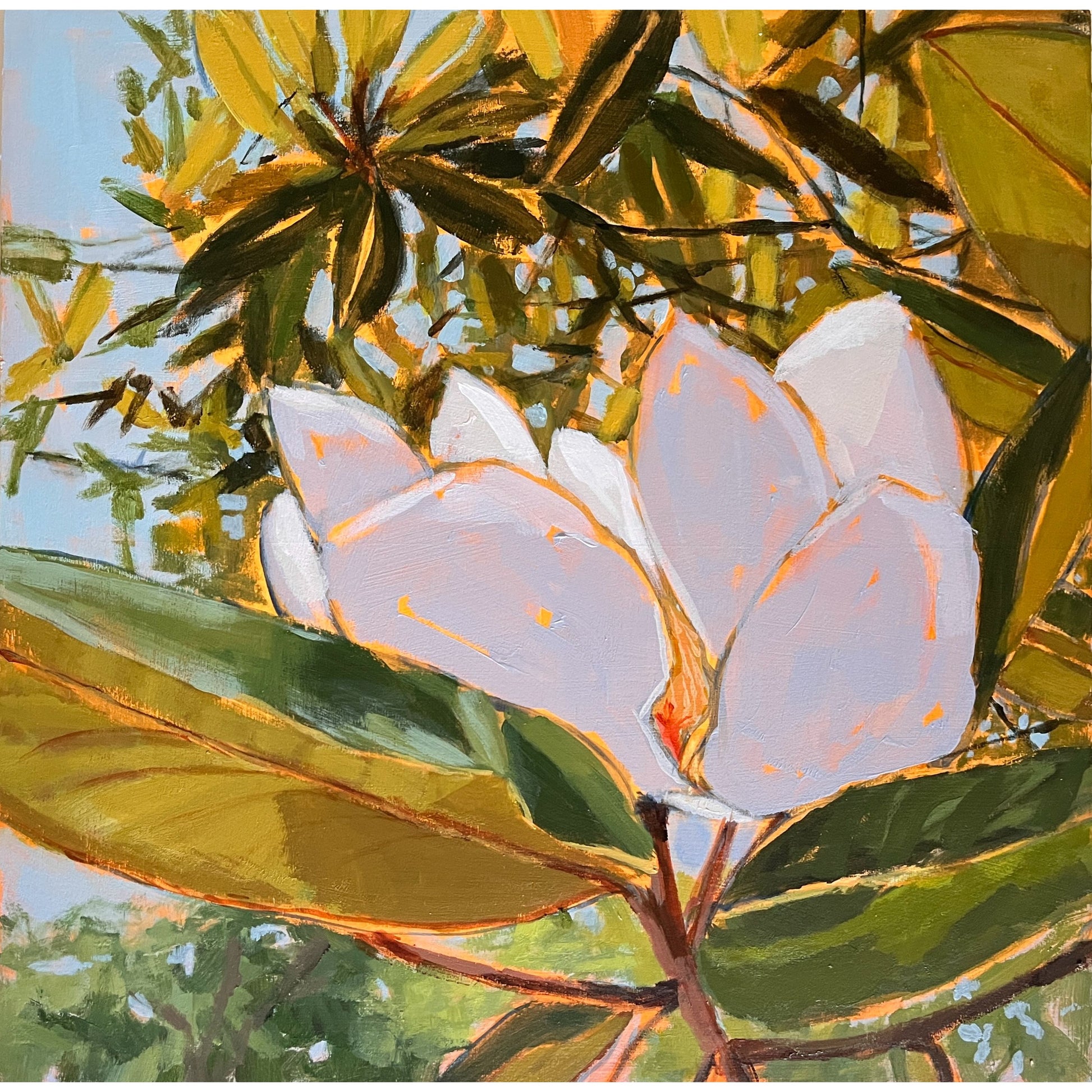 Magnolia Light Study no 6 Print, fine art print by Maggie Stickney