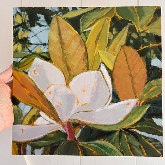 Magnolia Light Study no 1, original still life painting by Maggie Stickney